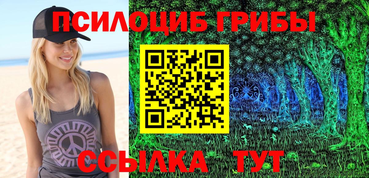 Галлюциногенные грибы Psilocybe Саратов